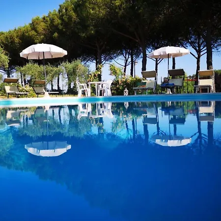Olive With Shared Pool 公寓 Sanfatucchio